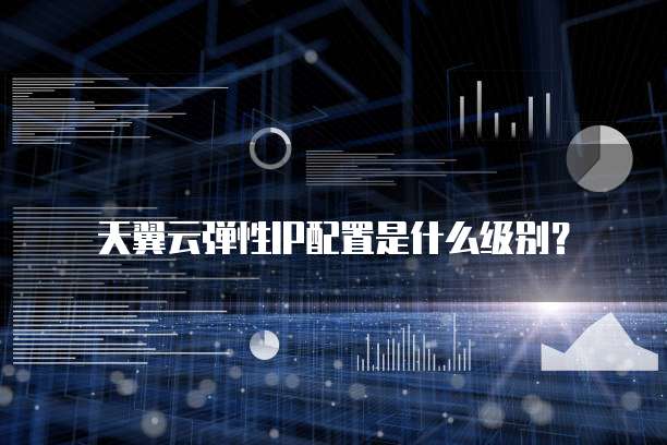 天翼云弹性IP配置是什么级别?