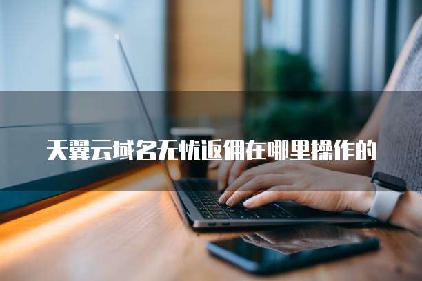 天翼云域名无忧返佣在哪里操作的