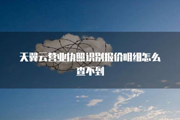 天翼云营业执照识别报价明细怎么查不到