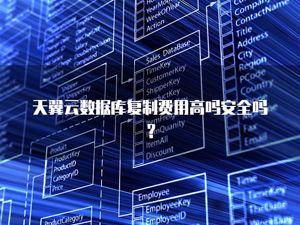 天翼云数据库复制费用高吗安全吗？