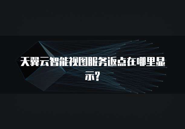 天翼云智能视图服务返点在哪里显示?