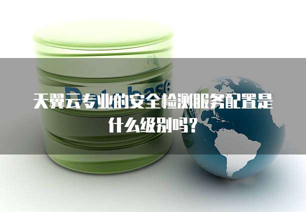 天翼云专业的安全检测服务配置是什么级别吗？