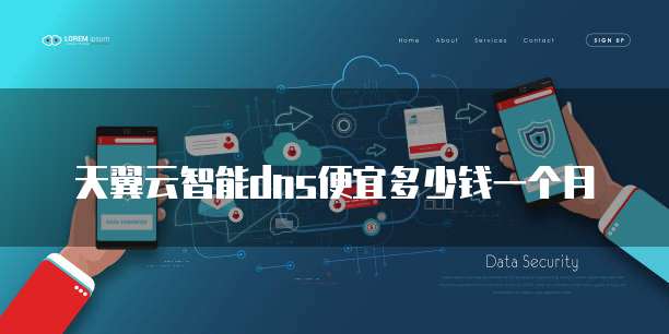 天翼云智能dns便宜多少钱一个月