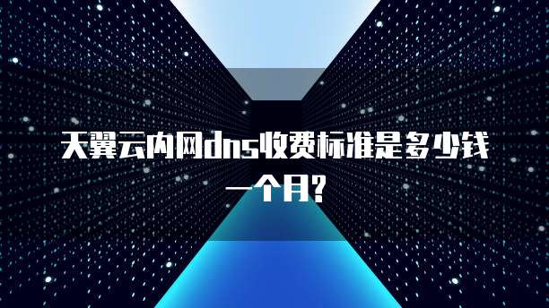天翼云内网dns收费标准是多少钱一个月?