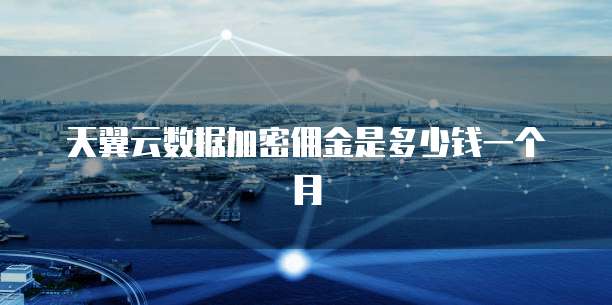 天翼云数据加密佣金是多少钱一个月