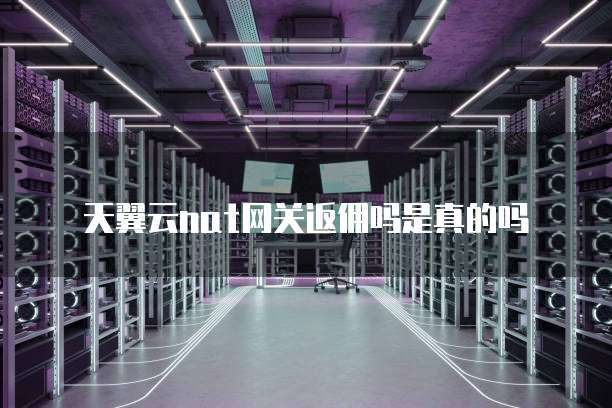 天翼云nat网关返佣吗是真的吗
