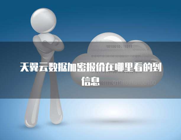 天翼云数据加密报价在哪里看的到信息
