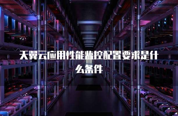 天翼云应用性能监控配置要求是什么条件