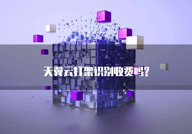 天翼云打架识别收费吗?
