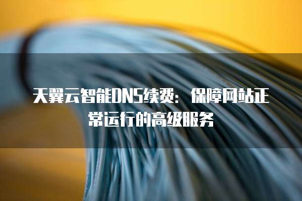 天翼云智能DNS续费:保障网站正常运行的高级服务