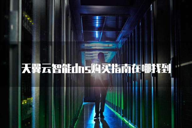 天翼云智能dns购买指南在哪找到