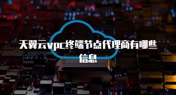 天翼云vpc终端节点代理商有哪些信息
