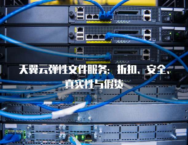 天翼云弹性文件服务:折扣、安全、真实性与假货