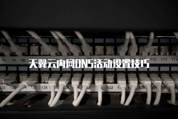 天翼云内网DNS活动设置技巧