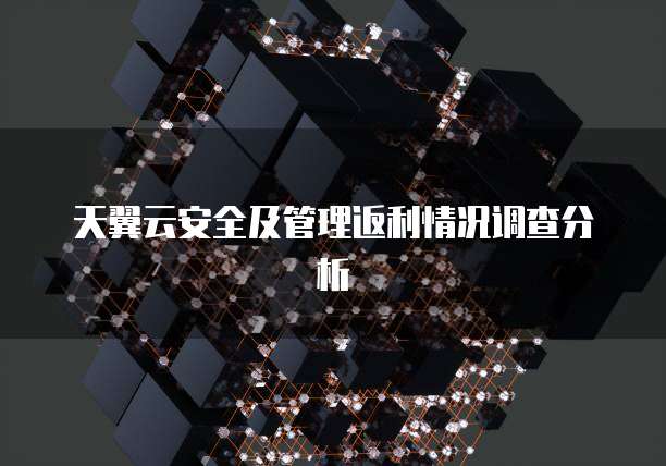 天翼云安全及管理返利情况调查分析