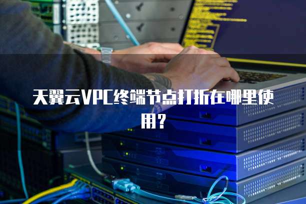 天翼云VPC终端节点打折在哪里使用?