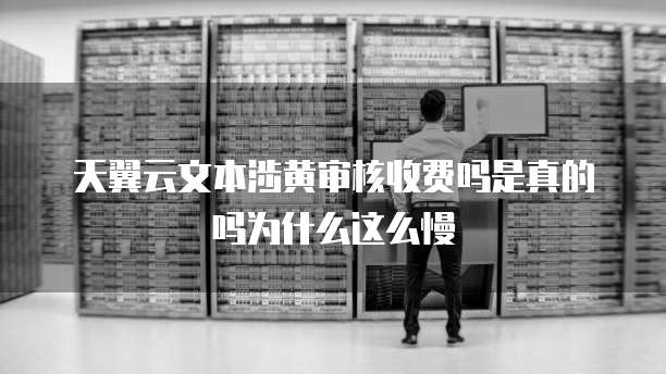天翼云文本涉黄审核收费吗是真的吗为什么这么慢