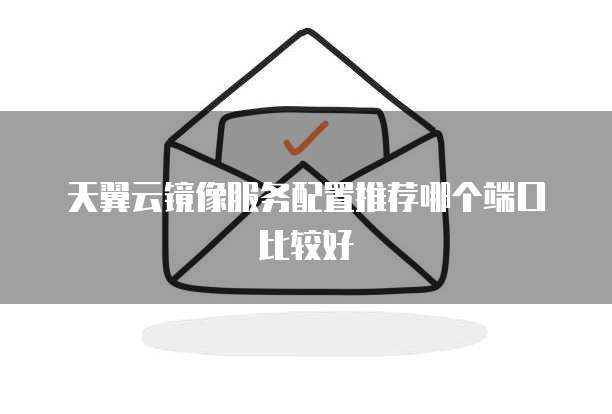 天翼云镜像服务配置推荐哪个端口比较好