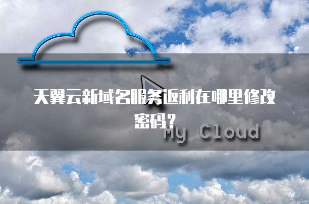 天翼云新域名服务返利在哪里修改密码？