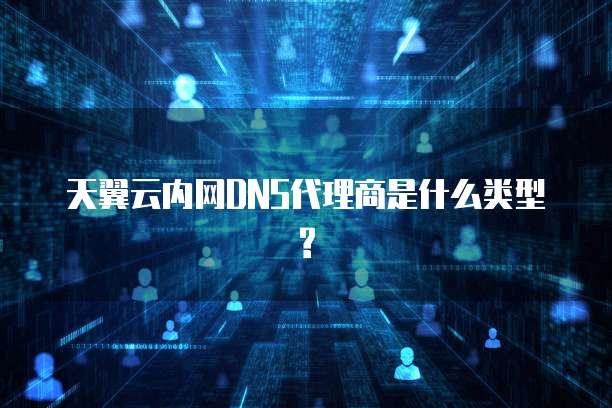 天翼云内网DNS代理商是什么类型?