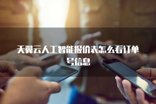 天翼云人工智能报价表怎么看订单号信息