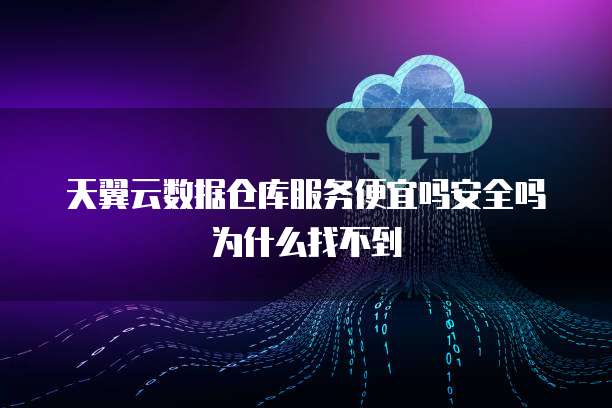 天翼云数据仓库服务便宜吗安全吗为什么找不到