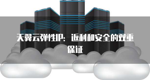 天翼云弹性IP:返利和安全的双重保证