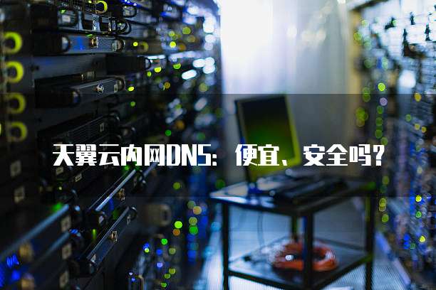 天翼云内网DNS:便宜、安全吗?