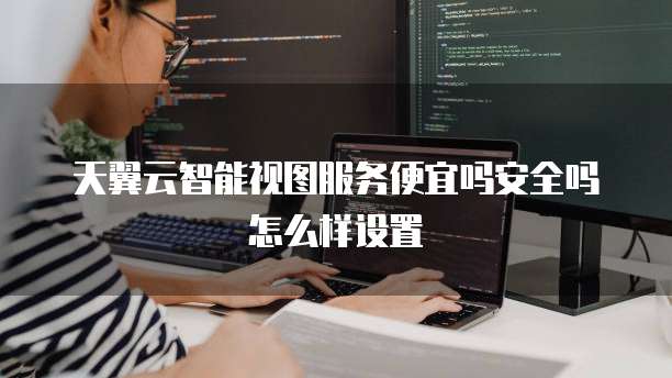 天翼云智能视图服务便宜吗安全吗怎么样设置