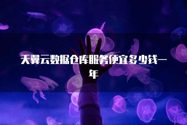 天翼云数据仓库服务便宜多少钱一年