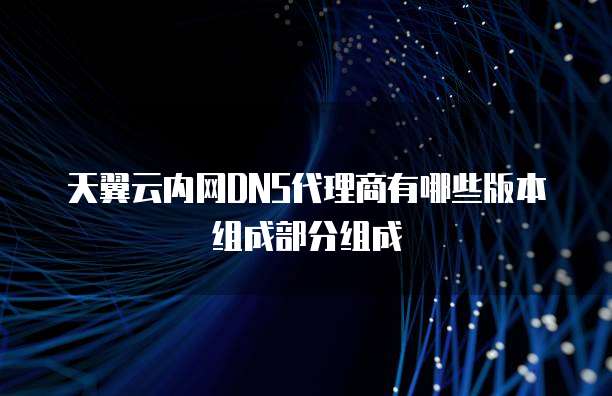 天翼云内网DNS代理商有哪些版本组成部分组成