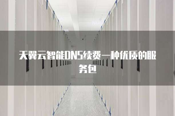 天翼云智能DNS续费一种优质的服务包