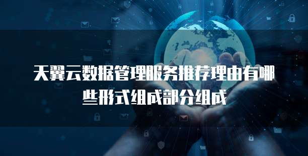 天翼云数据管理服务推荐理由有哪些形式组成部分组成