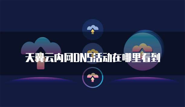 天翼云内网DNS活动在哪里看到