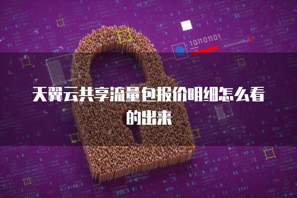 天翼云共享流量包报价明细怎么看的出来