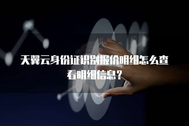 天翼云身份证识别报价明细怎么查看明细信息？