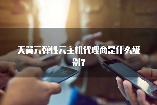 天翼云弹性云主机代理商是什么级别?