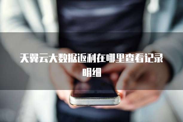 天翼云大数据返利在哪里查看记录明细