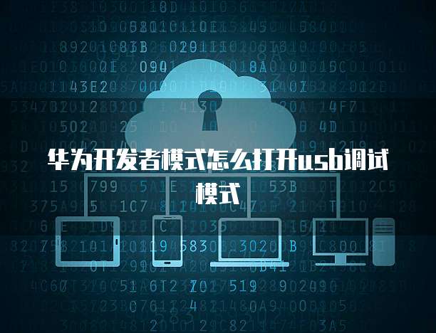 天翼云服务器建站怎么用不了?