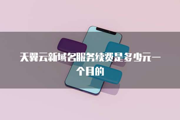 天翼云新域名服务续费是多少元一个月的