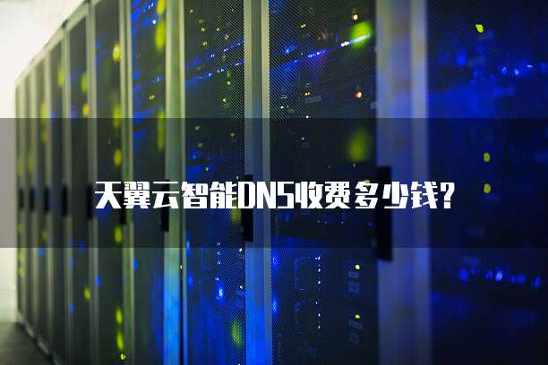 天翼云智能DNS收费多少钱?