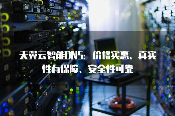 天翼云智能DNS:价格实惠、真实性有保障、安全性可靠