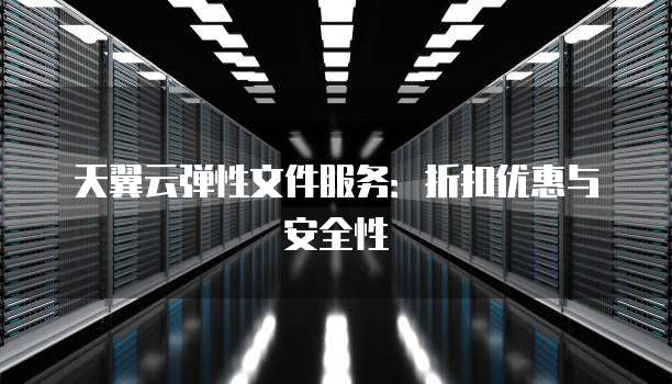 天翼云弹性文件服务:折扣优惠与安全性