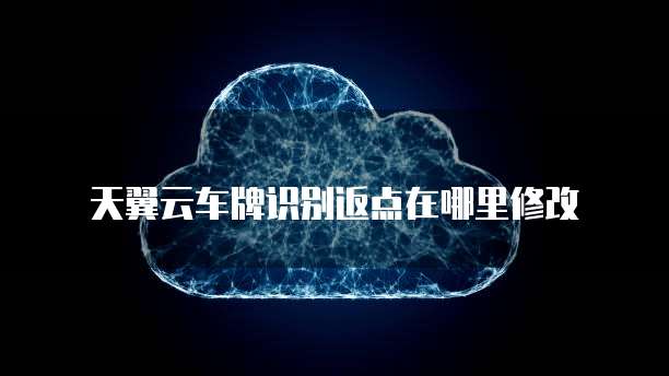 天翼云车牌识别返点在哪里修改