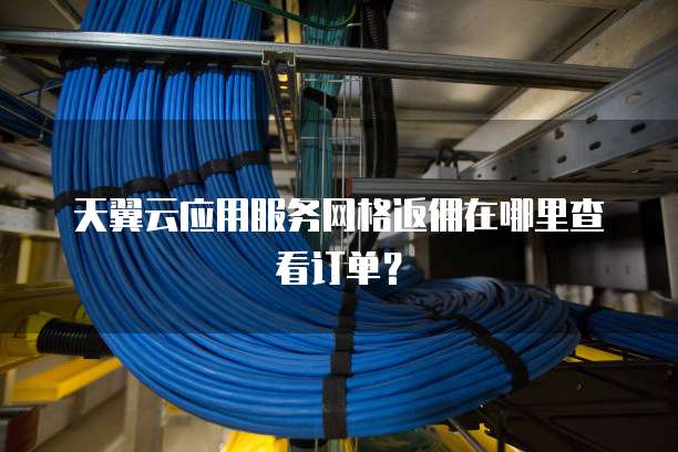 天翼云应用服务网格返佣在哪里查看订单?