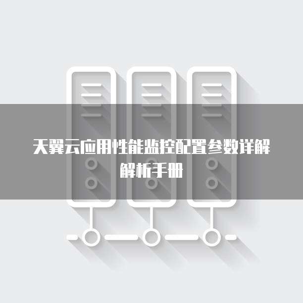 天翼云应用性能监控配置参数详解解析手册