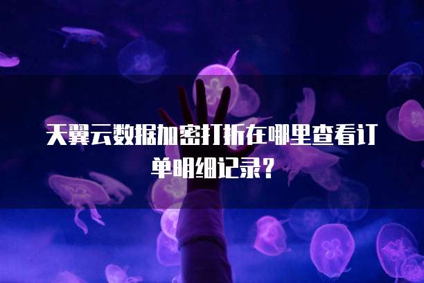 天翼云数据加密打折在哪里查看订单明细记录?