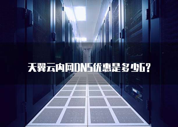 天翼云内网DNS优惠是多少G?