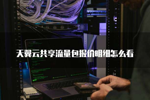 天翼云共享流量包报价明细怎么看