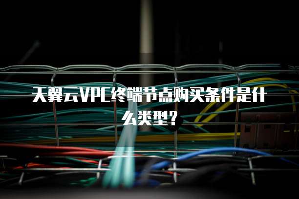 天翼云VPC终端节点购买条件是什么类型?